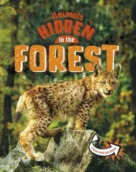 Animals Hidden in the Forest, Paperback/Jessica Rusick