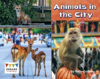 Animals in the City, Paperback/Kelly Gaffney