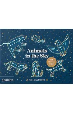 Animals in the Sky - Sara Gillingham