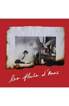 Anne Day: Les Flashes d'Anne: Friendship Among the Ashes with Hervé Guibert - Anne Day