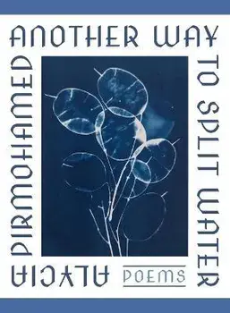 Another Way to Split Water, Paperback/Alycia Pirmohamed