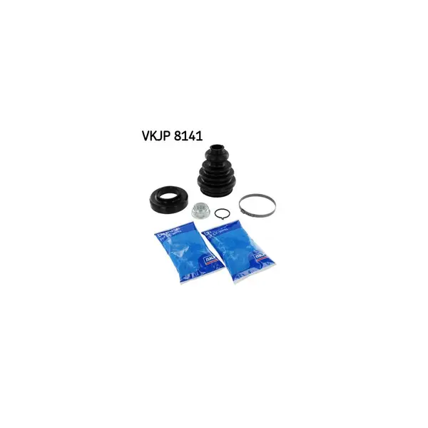 Ansamblu burduf, articulatie planetara SKF VKJP 8141