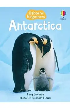 Antarctica - Lucy Bowman