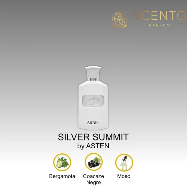 Apă de parfum Asten, Silver Summit, barbati, 100ml - Original Dubai