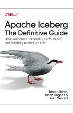 Apache Iceberg: The Definitive Guide: Data Lakehouse Functionality, Performance, and Scalability on the Data Lake - Tomer Shiran