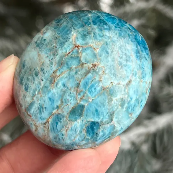 Apatit rulat palmstone model 14