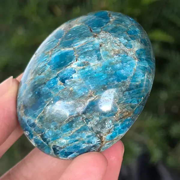 Apatit rulat palmstone | Model 19