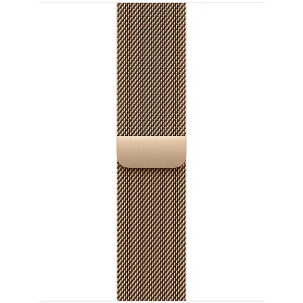 Apple Apple Watch 40mm Loop: Gold Milanese Loop