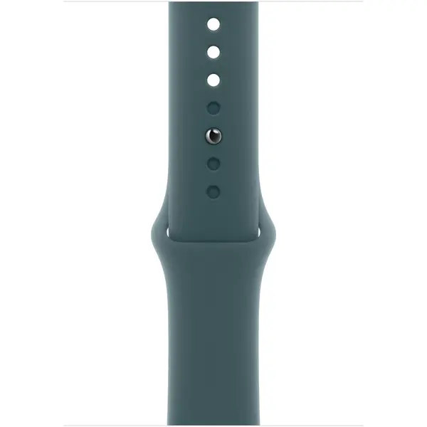 Apple Apple Watch 42mm Sport Band: Lake Green Sport Band - M/L (Seasonal)