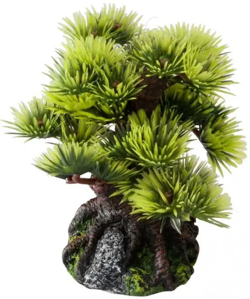 AQUA D'ELLA Decoraţiune pentru acvarii Bonsai M 15cm