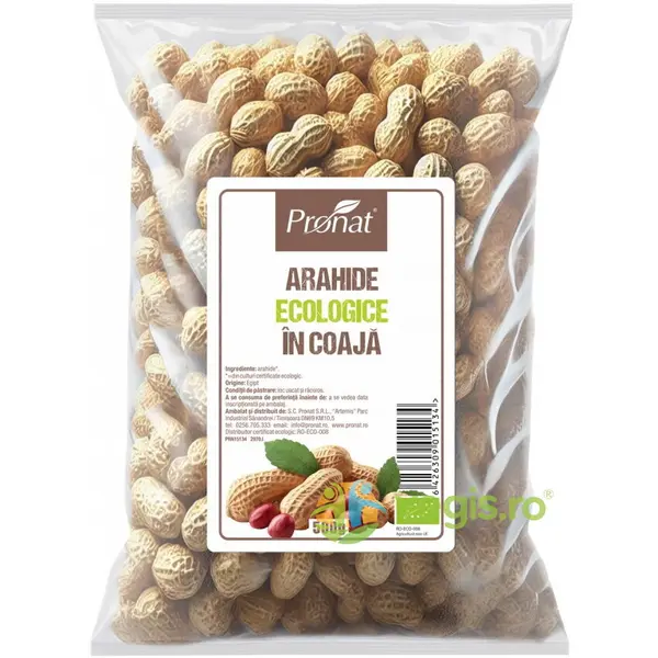 Arahide in Coaja Usor Prajite Nesarate Ecologice/Bio 500g