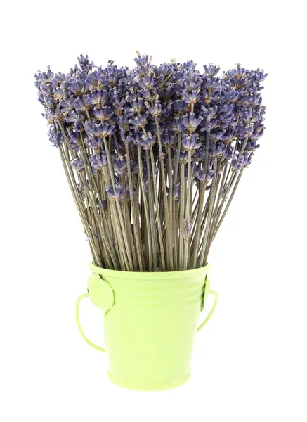 Aranjament floral - Galetusa cu lavanda, verde | Fleurane