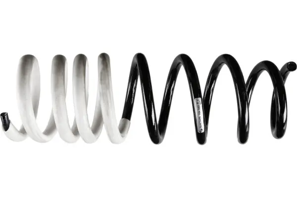 Arc elicoidal suspensie SACHS 994 800