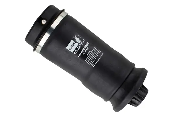 Arc pneumatic, directie BILSTEIN - B3 OE Replacement (Air) 40-247687