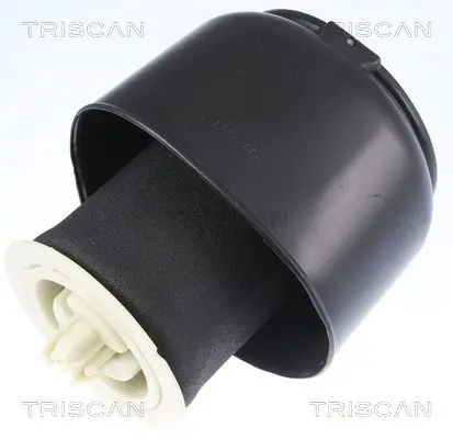 Arc pneumatic, directie TRISCAN 8720 11201