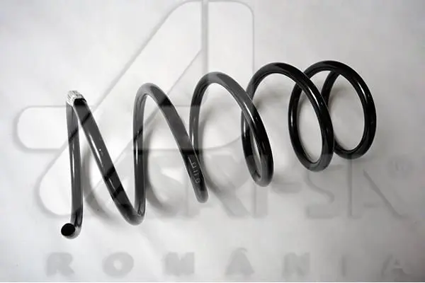 Arc spiral ASAM AUTOMOTIVE 30988