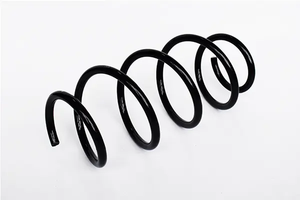 Arc spiral ASAM AUTOMOTIVE 73748