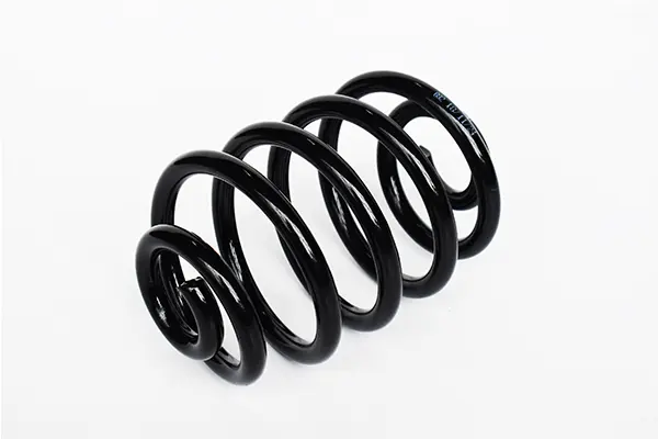Arc spiral ASAM AUTOMOTIVE 73798