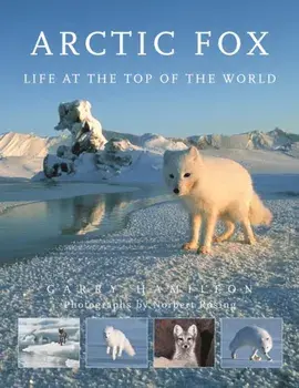 Arctic Fox. Life at the Top of the World, Paperback/Garry Hamilton