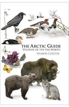 Arctic Guide