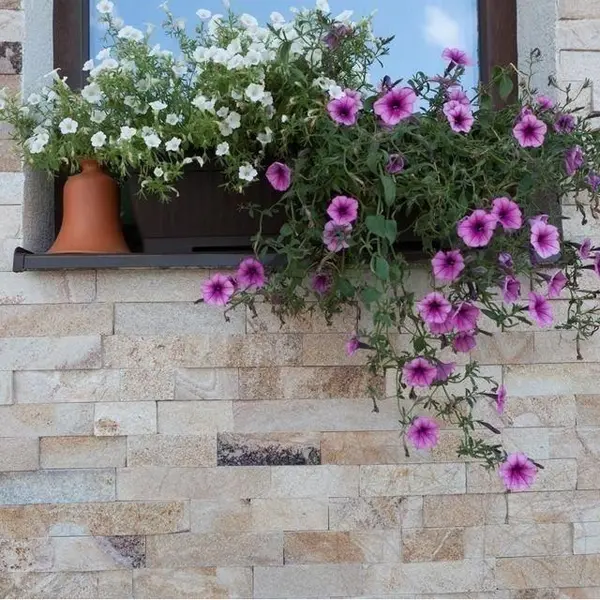 Ardezie Rhodos Natur, 5 cm x LL | Piatra Decorativa - Placari Verticale, Exterior-Interior