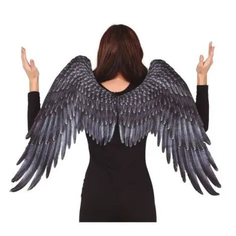 Aripi inger panza negre