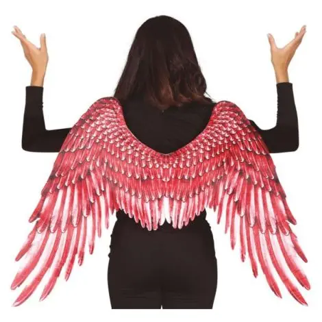 Aripi inger panza rosii