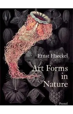 Art Forms in Nature - Olaf Breidbach