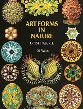 Art Forms in Nature, Paperback/Ernst Haeckel