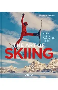 Art of Skiing - Bernhard Werkmeister