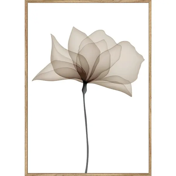 Art Print 51,2/71,2 cm