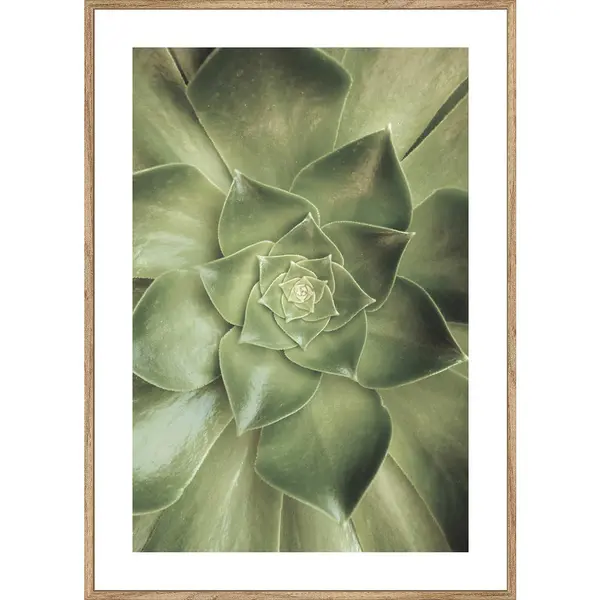Art Print 51,2/71,2 cm