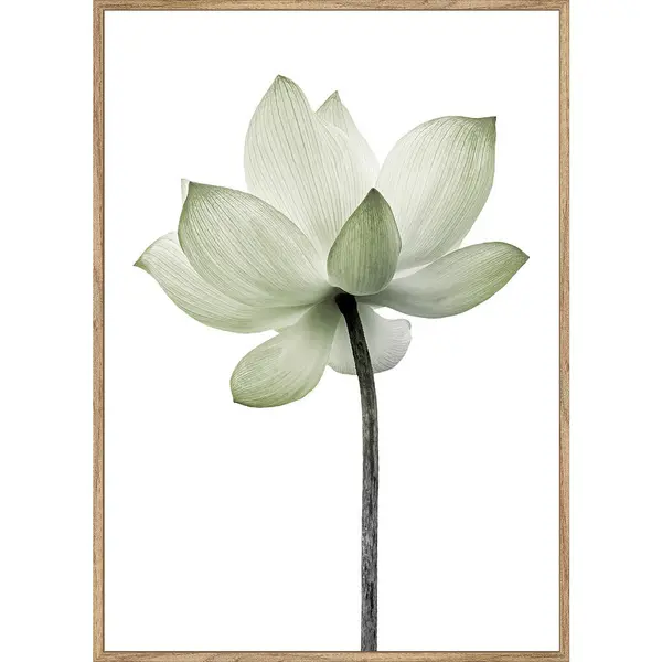 Art Print 51,2/71,2 cm