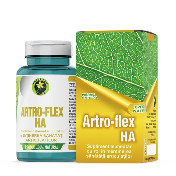 Artro Flex HA, 60 capsule, Hypericum
