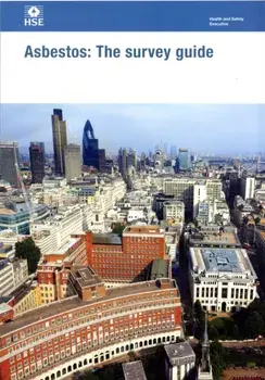 Asbestos. the survey guide, 2nd ed., 2012, Paperback/Great Britain: Health and Safety Executive