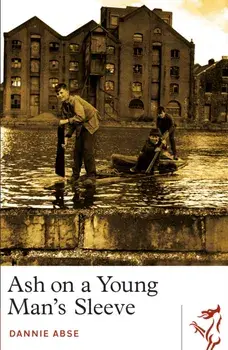 Ash on a Young Man's Sleeve. 2nd ed., Paperback/Dannie Abse