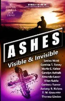 Ashes: Visible & Invisible, Paperback/Leslea Wahl