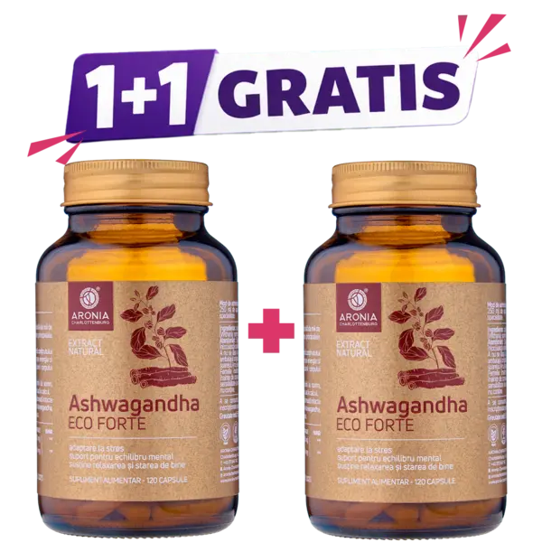 Ashwagandha ECO Forte 120 Capsule