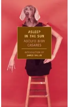 Asleep in the Sun - Adolfo Bioy Casares