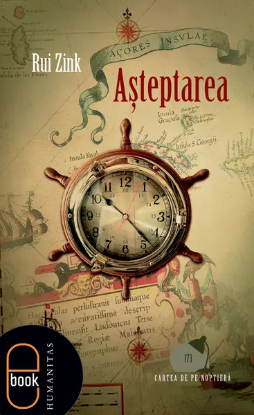 Aşteptarea (epub)