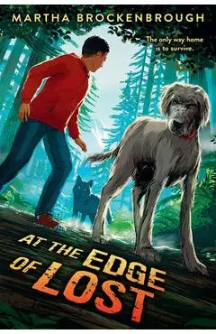 At the Edge of Lost - Martha Brockenbrough