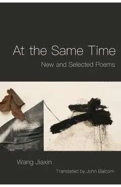 At the Same Time - Wang Jiaxin