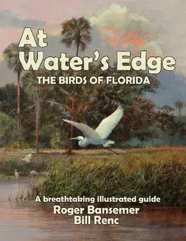 At Water's Edge: The Birds of Florida, Paperback/Bansemer Roger