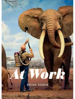 At Work, Paperback/***