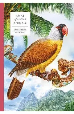 Atlas of Extinct Animals - Radek Maly