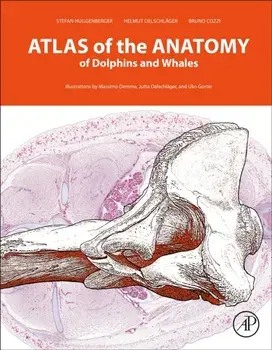 Atlas of the Anatomy of Dolphins and Whales, Hardback/Bruno Cozzi