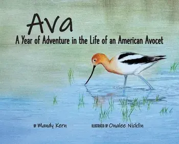 Ava: A Year of Adventure in the Life of an American Avocet, Hardcover/Mandy Kern