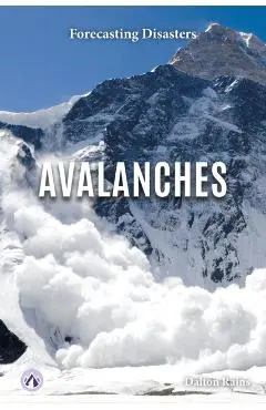 Avalanches - Dalton Rains