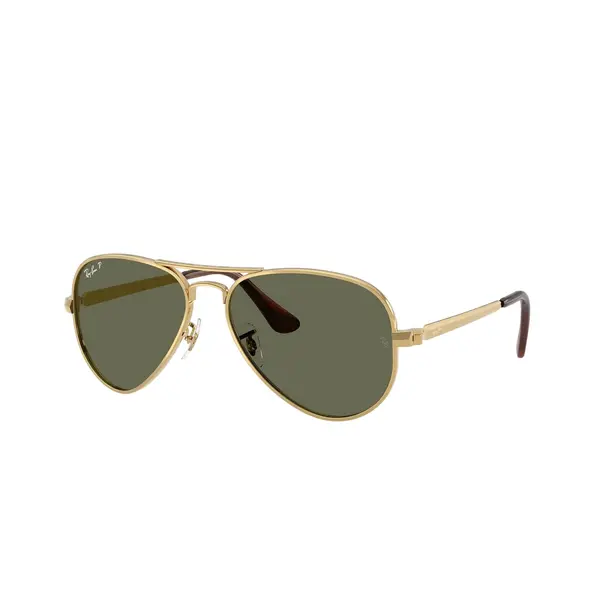 Aviator max rb3925 001/58 58