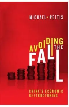 Avoiding the Fall - Michael Pettis